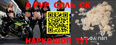кокс Кингисепп
