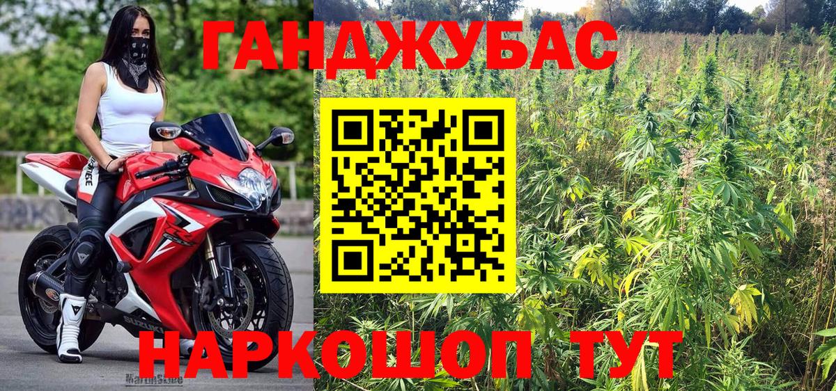 Канабис планчик  Канабис сатива  Канабис планчик  Бошки Шишки марихуана  Тамбов  Вход с VPN 