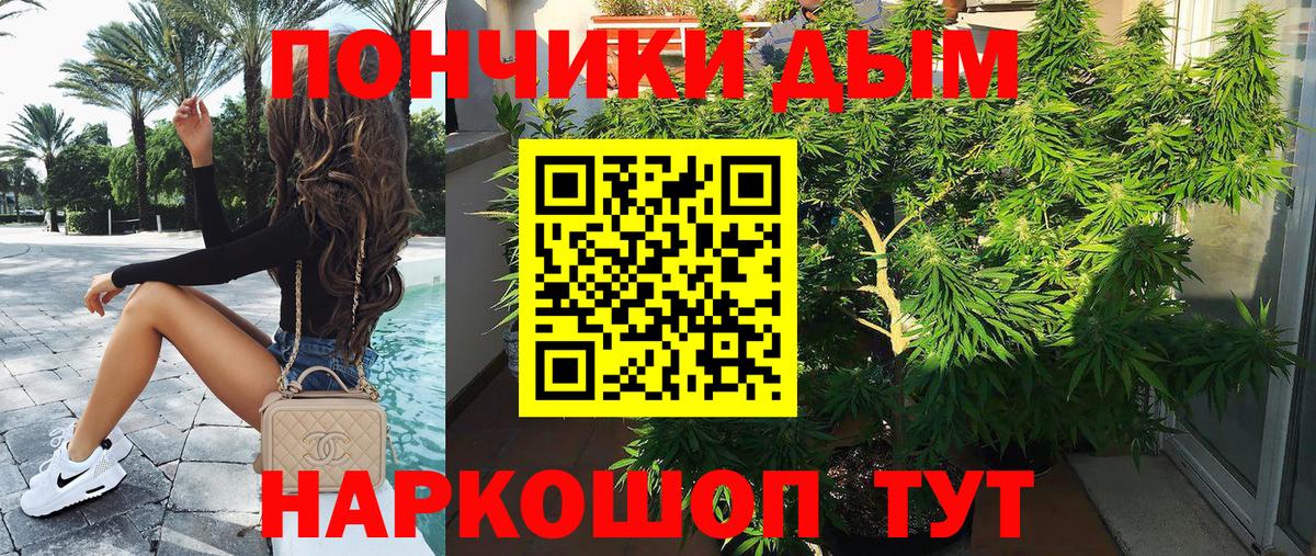 Бошки марихуана VHQ Тамбов